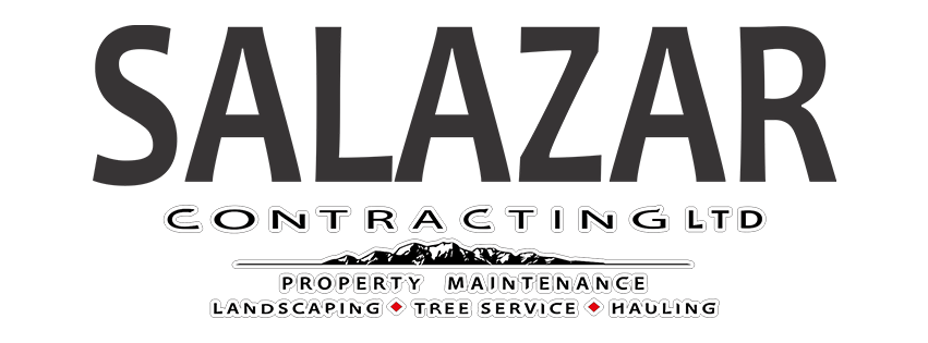 Salazar Contracting